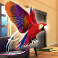 鹦鹉模拟器宠物世界3D