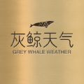 灰鲸天气预报app